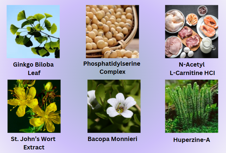MemoForce Ingredients