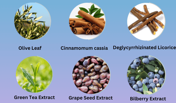 Neuro Surge Ingredients