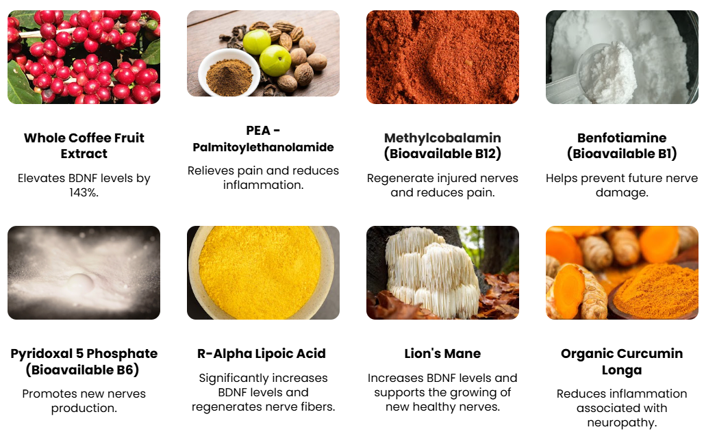 Nu Nerve Ingredients