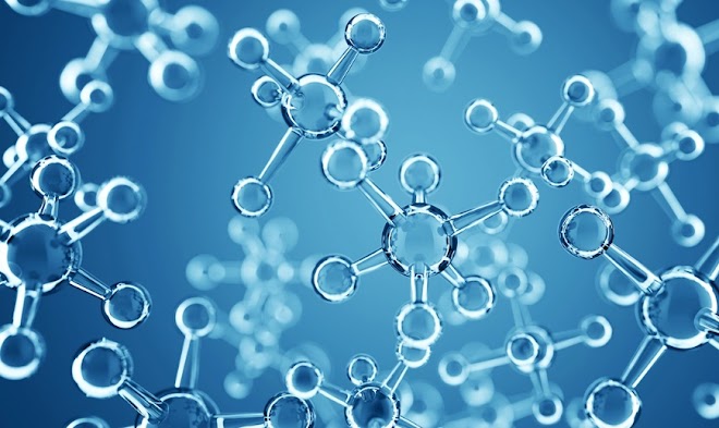 Nerve Fiber Regeneration